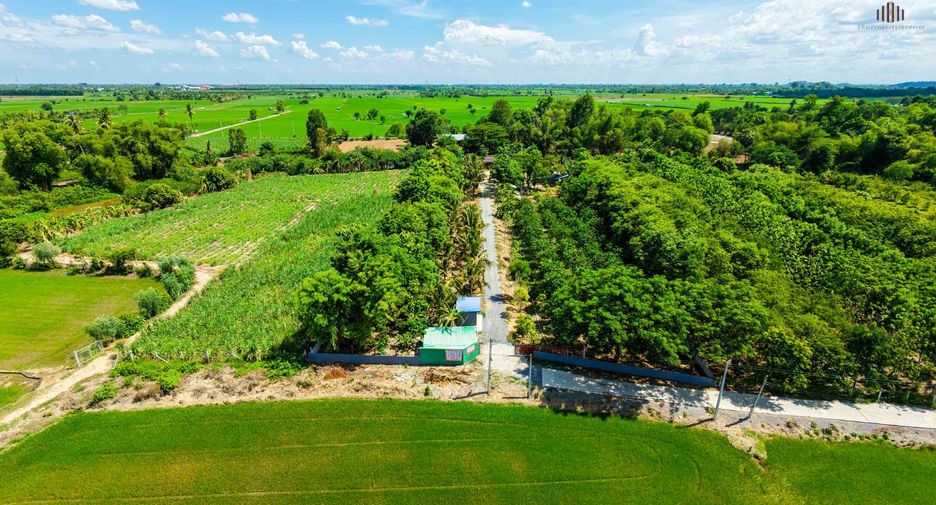 For sale land in Doem Bang Nang Buat, Suphan Buri