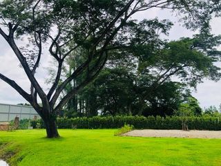 For rent and for sale 3 bedrooms house in Saraphi, Chiang Mai