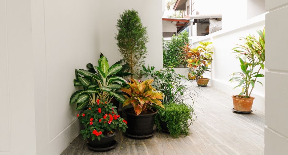 For rent and for sale 5 bedrooms house in Mueang Chiang Mai, Chiang Mai