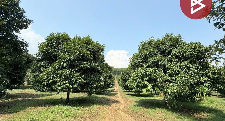 ขาย ที่ดิน ใน ขลุง, จันทบุรี