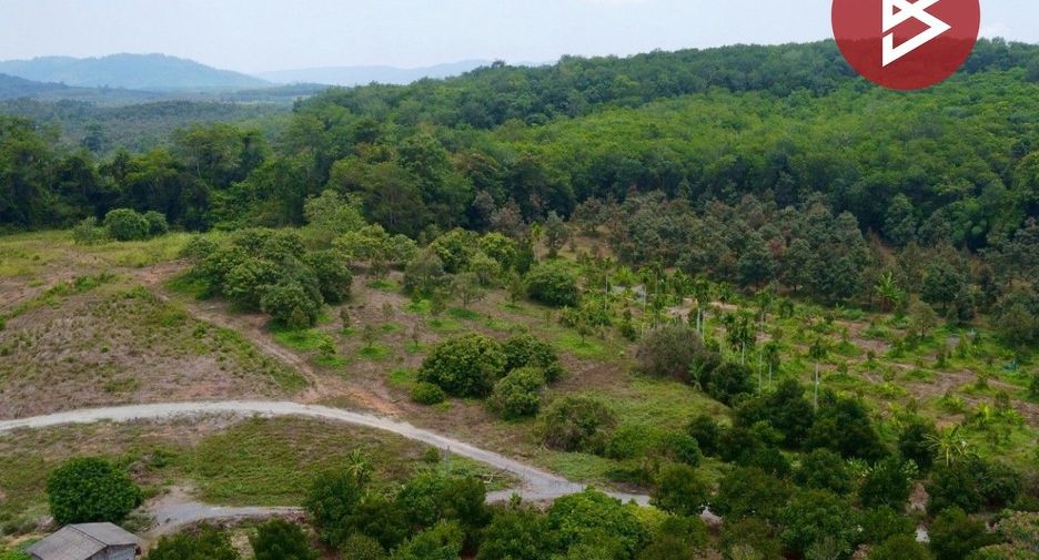 ขาย ที่ดิน ใน ขลุง, จันทบุรี