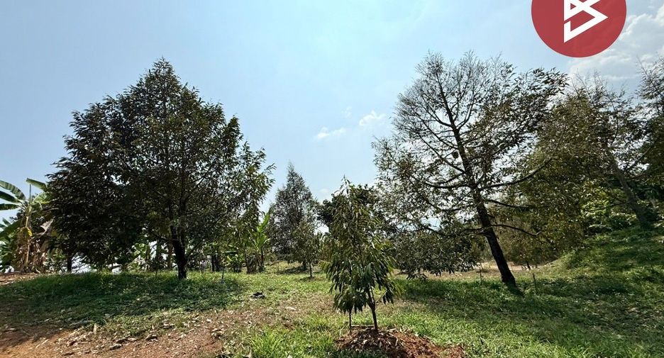 ขาย ที่ดิน ใน ขลุง, จันทบุรี