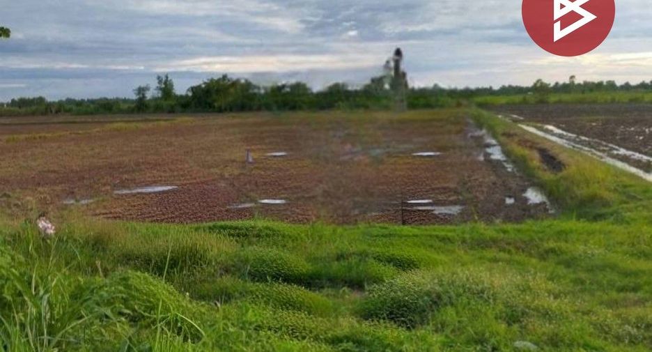 Grundstück zum Kauf in Pho Prathap Chang, Phichit