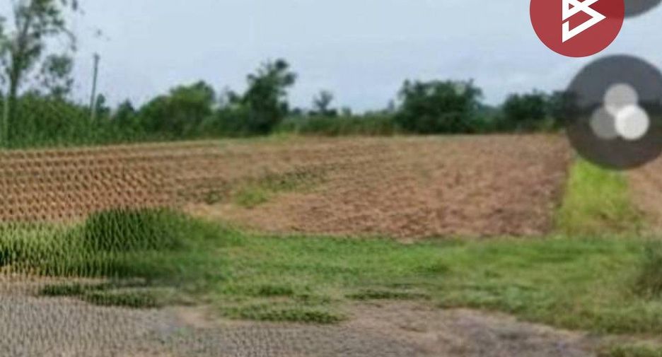 Grundstück zum Kauf in Pho Prathap Chang, Phichit