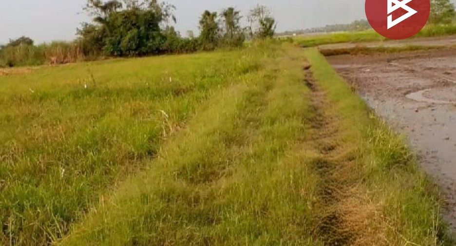 Grundstück zum Kauf in Pho Prathap Chang, Phichit
