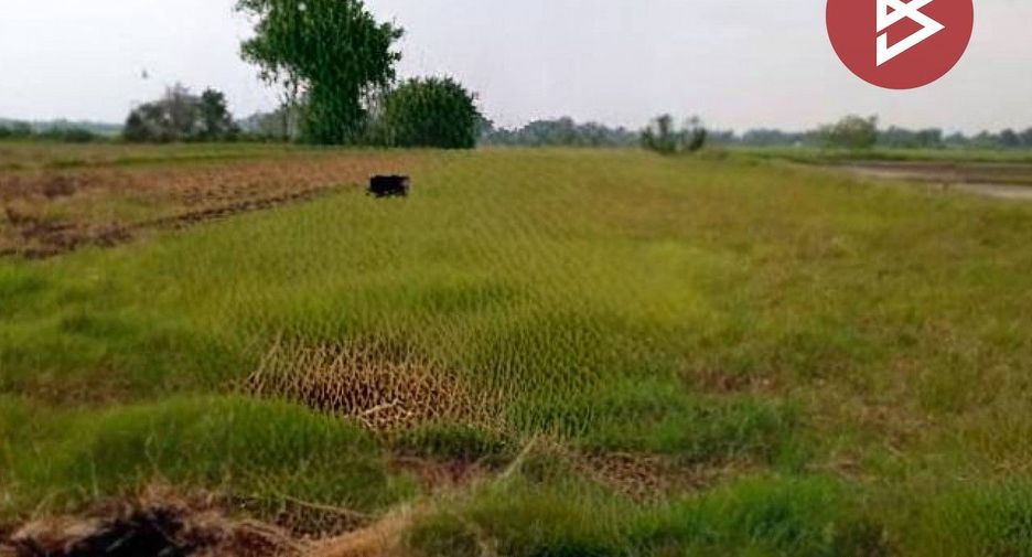 Grundstück zum Kauf in Pho Prathap Chang, Phichit