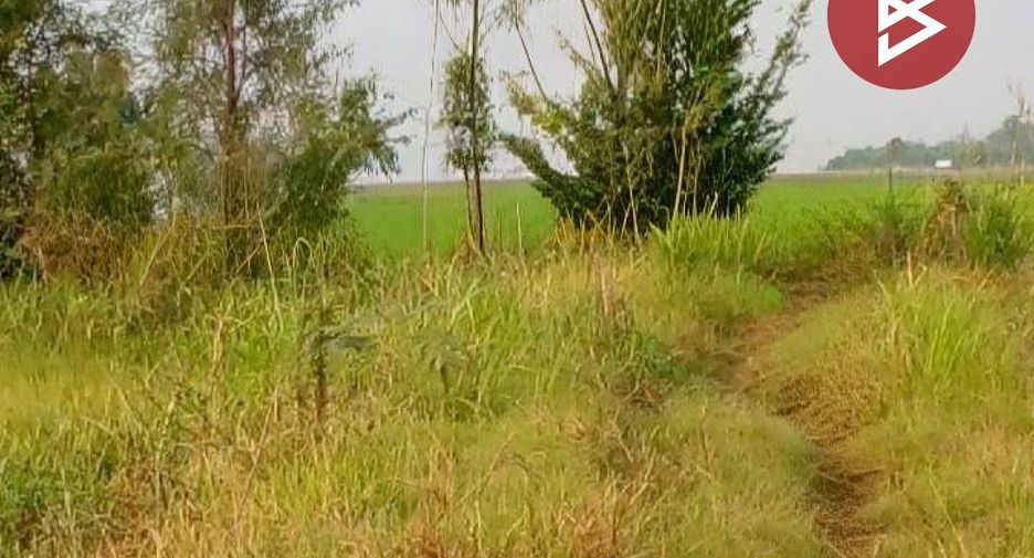 Grundstück zum Kauf in Pho Prathap Chang, Phichit