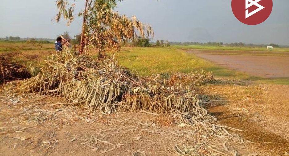 Grundstück zum Kauf in Pho Prathap Chang, Phichit