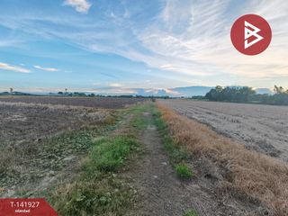 出售 土地 在 Mueang Chachoengsao, Chachoengsao