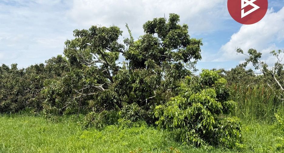 Terreno en venta en San Kamphaeng, Chiang Mai