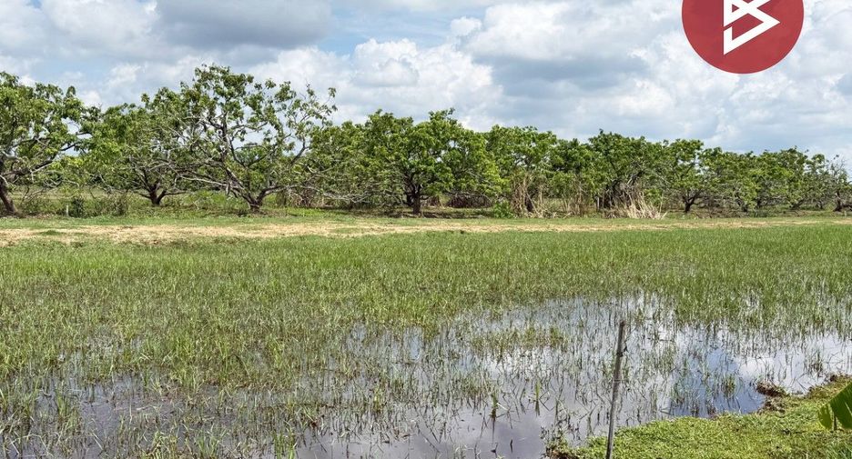 Terreno en venta en San Kamphaeng, Chiang Mai