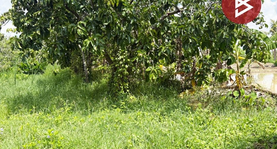Terreno en venta en San Kamphaeng, Chiang Mai