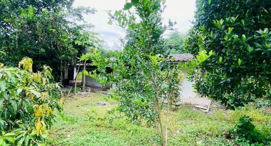 出售 土地 在 Bo Thong, Chon Buri