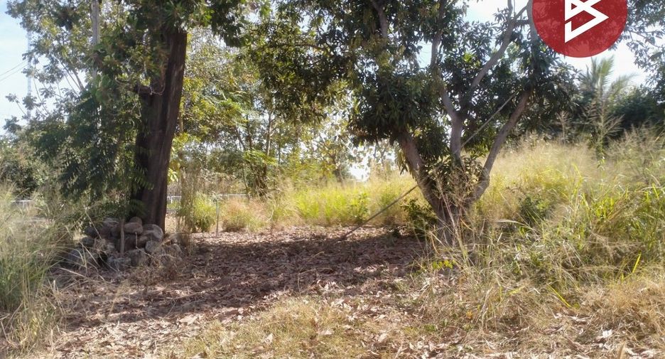 For sale land in Wat Bot, Phitsanulok