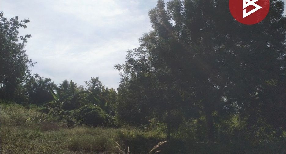 For sale land in Wat Bot, Phitsanulok