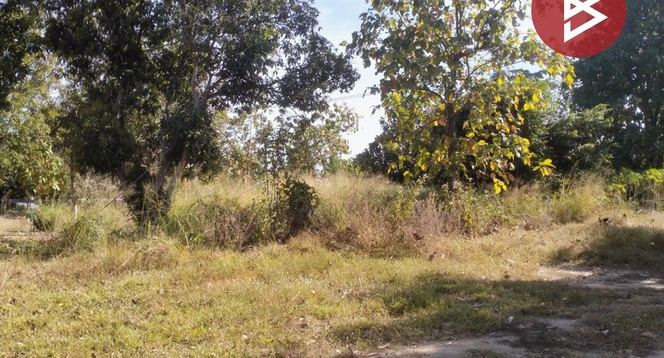 For sale land in Wat Bot, Phitsanulok