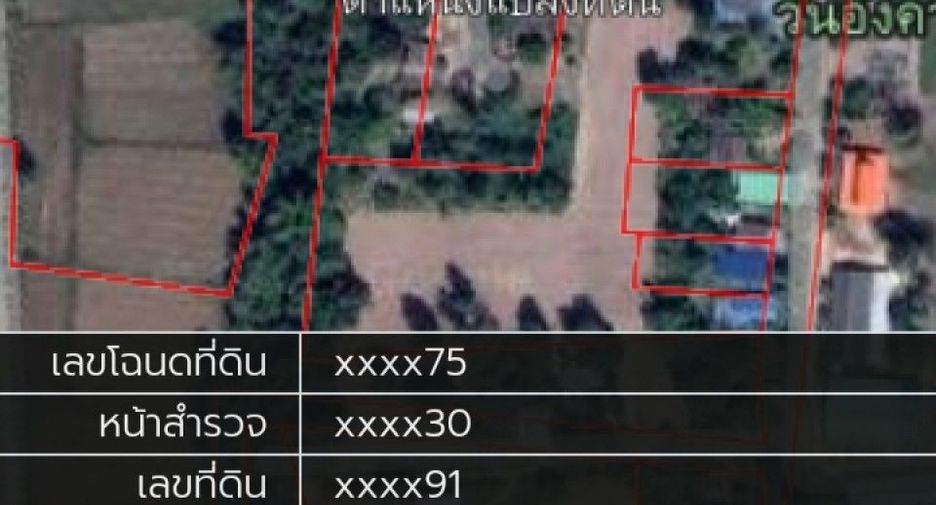 For sale land in Wat Bot, Phitsanulok