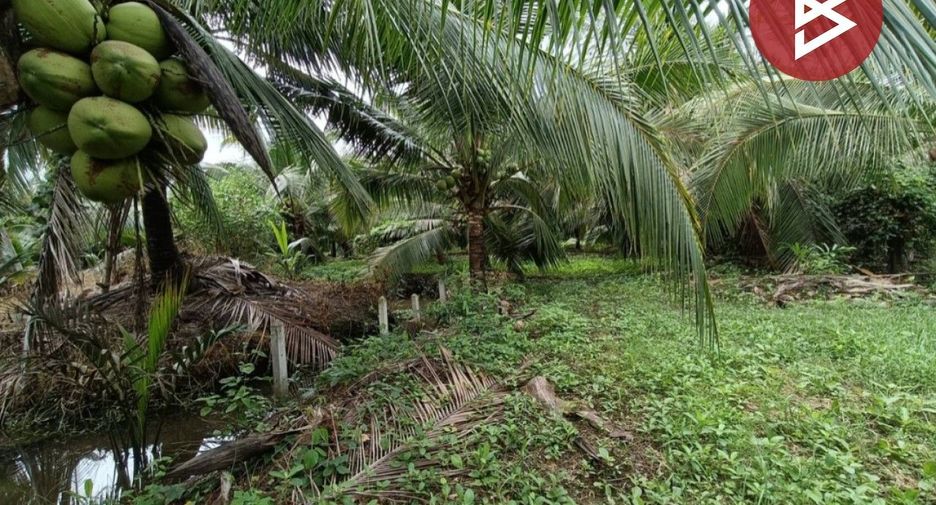 Grundstück zum Kauf in Mueang Samut Songkhram, Samut Songkhram