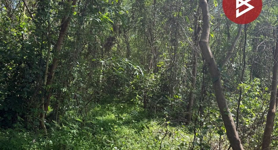 For sale land in Mueang Lampang, Lampang