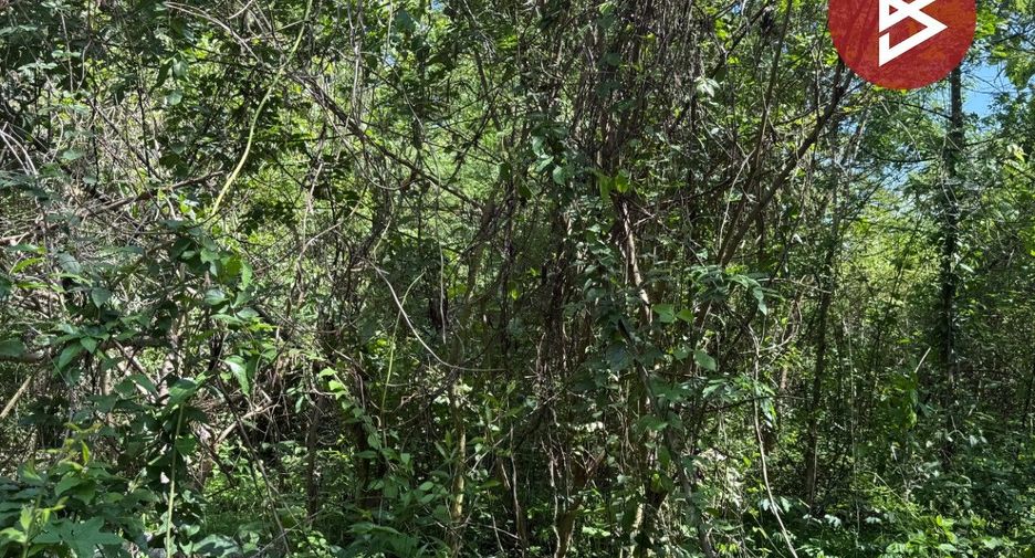 For sale land in Mueang Lampang, Lampang