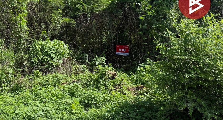 For sale land in Mueang Lampang, Lampang