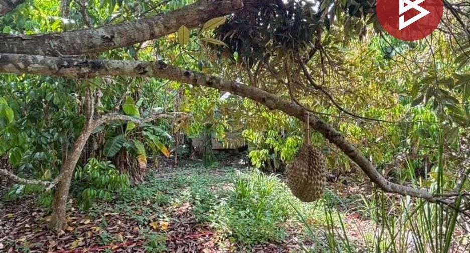 ขาย ที่ดิน ใน ท่าใหม่, จันทบุรี