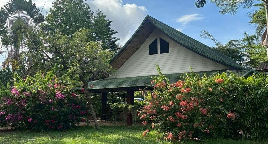 For sale land in Mueang Phuket, Phuket