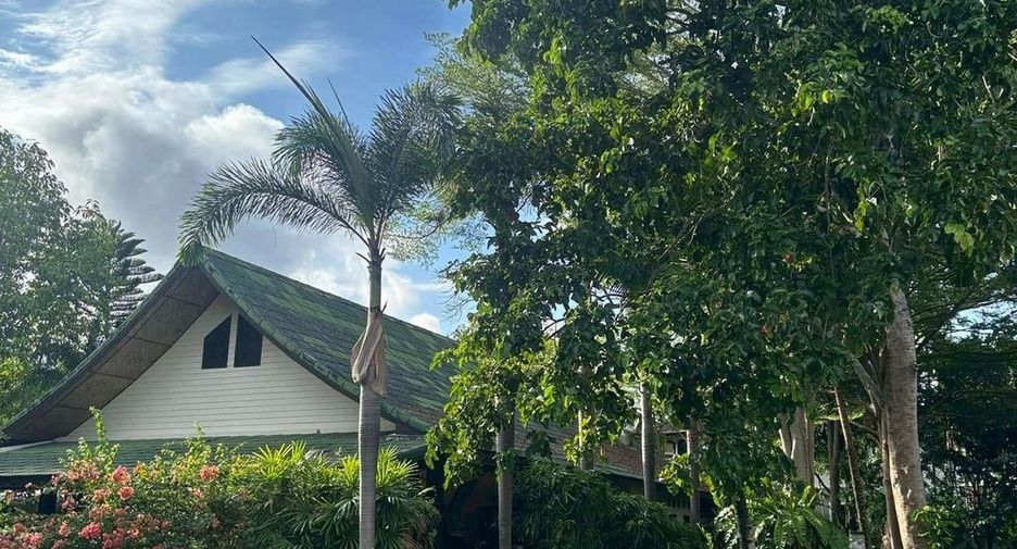 For sale land in Mueang Phuket, Phuket