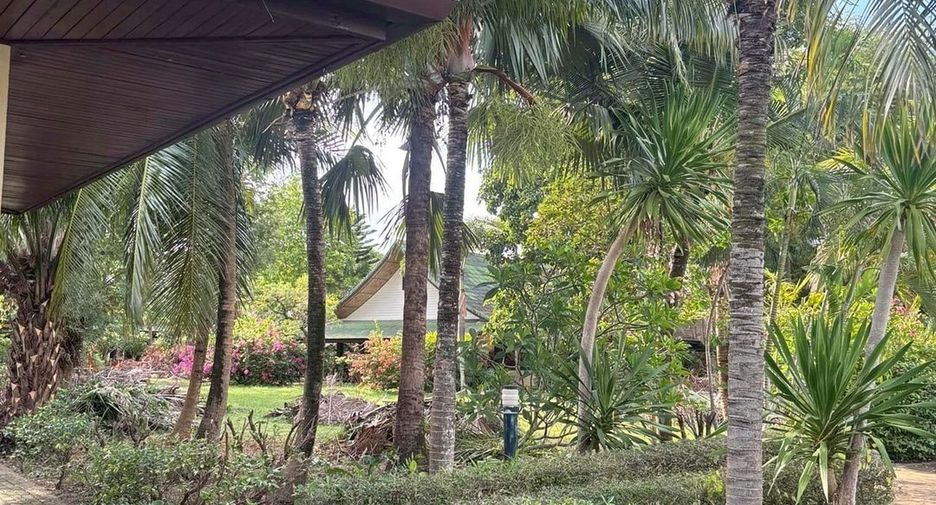 For sale land in Mueang Phuket, Phuket