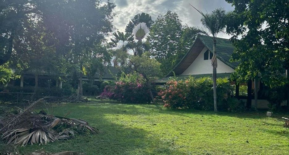 For sale land in Mueang Phuket, Phuket