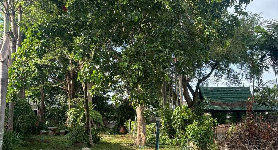 For sale land in Mueang Phuket, Phuket