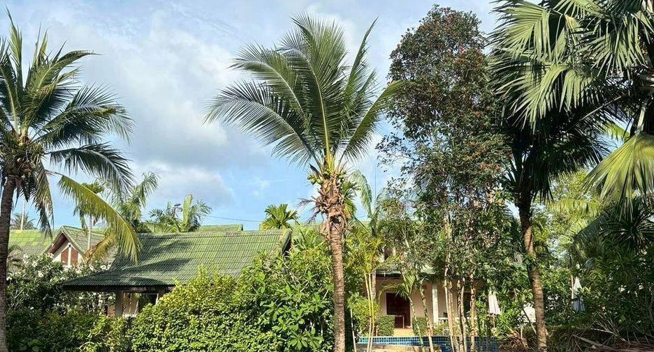 For sale land in Mueang Phuket, Phuket