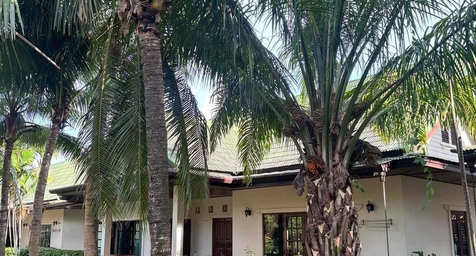For sale land in Mueang Phuket, Phuket