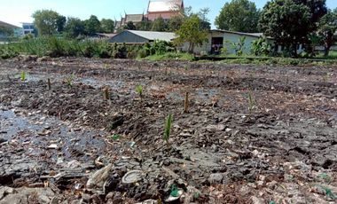 À vendre terrain à Phra Pradaeng, Samut Prakan
