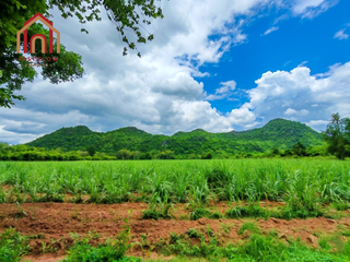 ขาย ที่ดิน ใน ปากท่อ, ราชบุรี