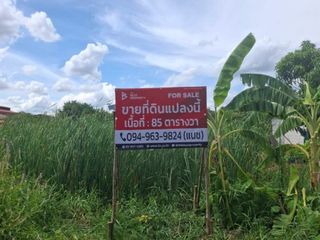 For sale land in Khlong Luang, Pathum Thani