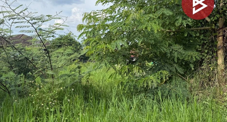 Terreno en venta en Doi Saket, Chiang Mai