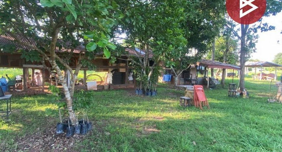 For sale land in Ban Phue, Udon Thani