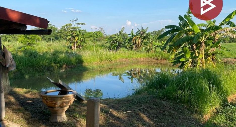 For sale land in Ban Phue, Udon Thani