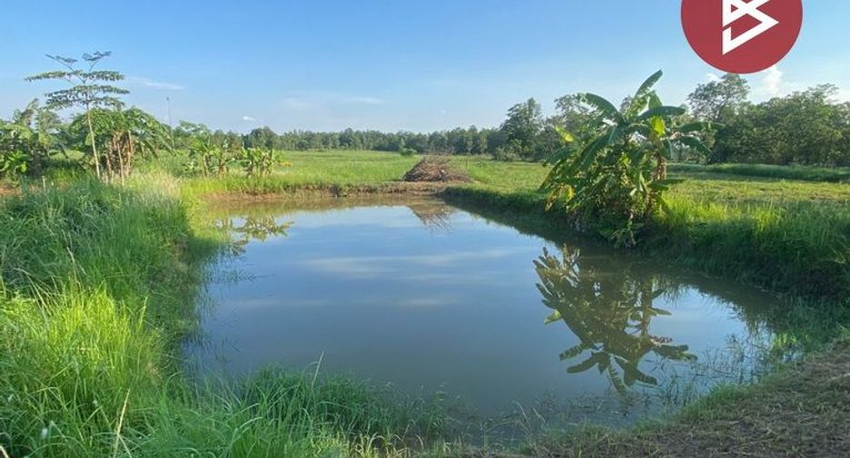 For sale land in Ban Phue, Udon Thani