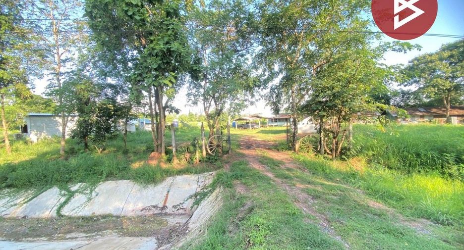 For sale land in Ban Phue, Udon Thani