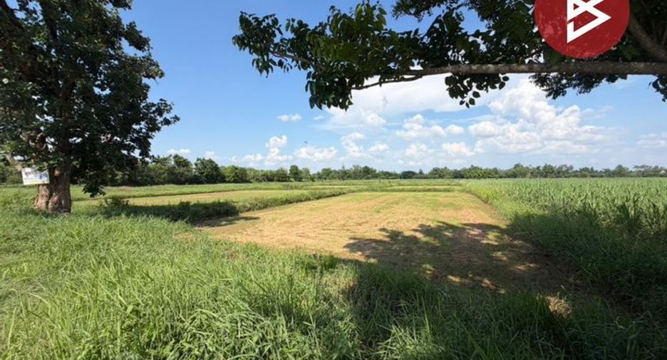 ขาย ที่ดิน ใน ศรีบุญเรือง, หนองบัวลำภู