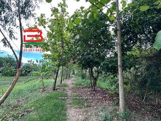 For sale land in Mueang Pathum Thani, Pathum Thani