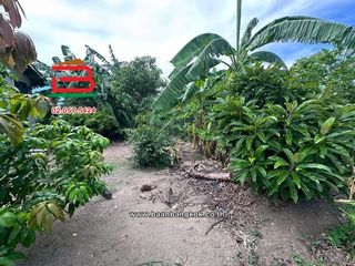 For sale land in Mueang Pathum Thani, Pathum Thani