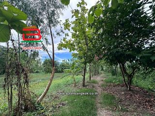 For sale land in Mueang Pathum Thani, Pathum Thani