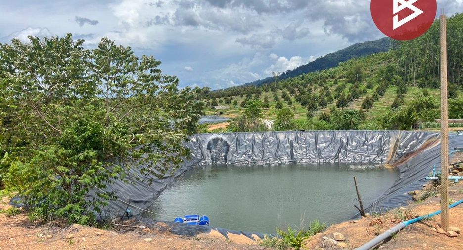For sale land in Makham, Chanthaburi