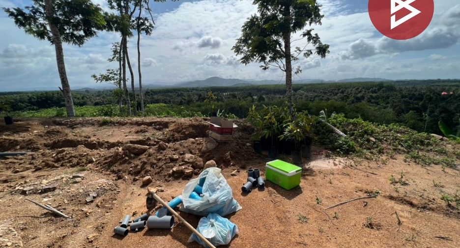 For sale land in Makham, Chanthaburi