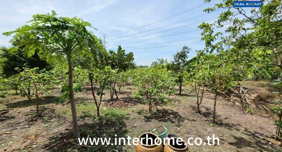 À vendre 3 chambres maison à Sai Noi, Nonthaburi