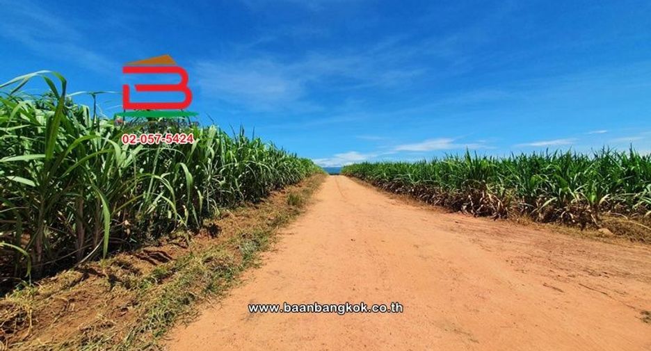 Terreno en venta en Dan Makham Tia, Kanchanaburi