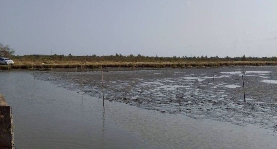 For sale land in Mueang Samut Sakhon, Samut Sakhon